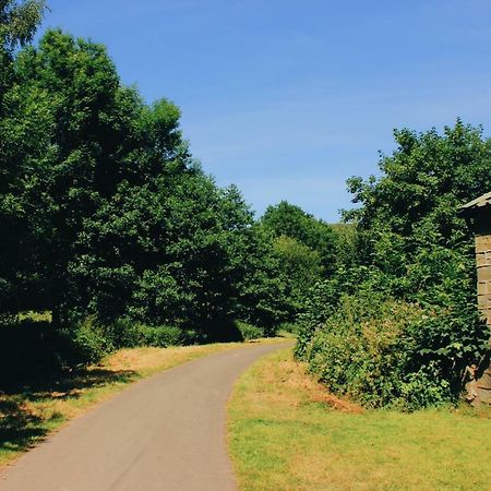 Appartamento Taff Trail Bunkhouse Merthyr Tydfil Esterno foto